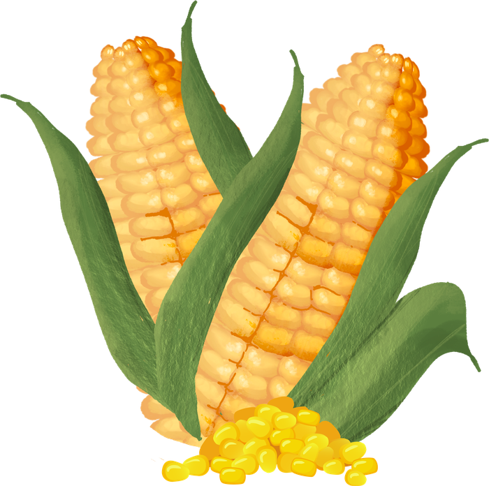 Porumb